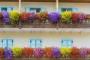 Una meravigliosa variegazione di colori nelle fioriture da balcone