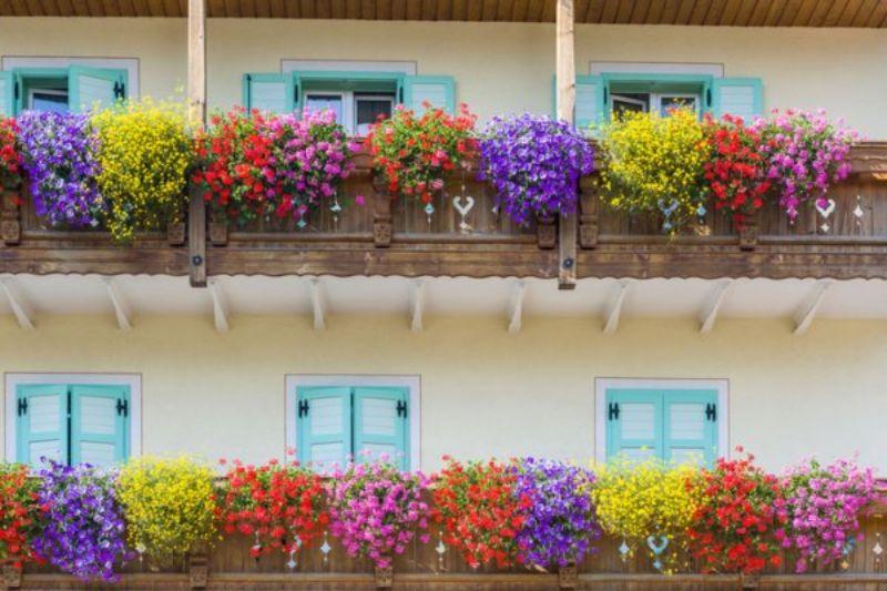 Fiori colorati su balcone