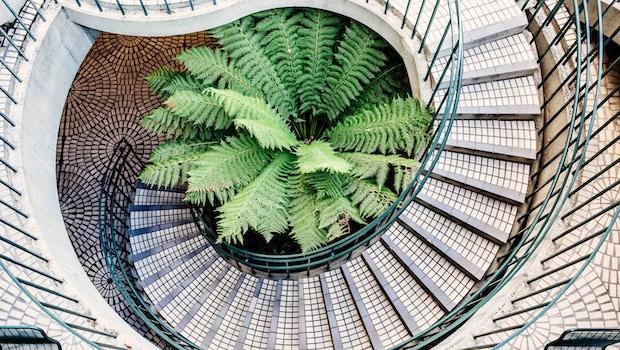 Einrichtung einer spiralförmigen Untertreppe - Foto: Unsplash