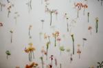 Muro di fiori sospesi - Foto: Unsplash