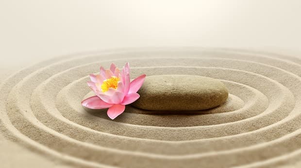 flor de loto zen
