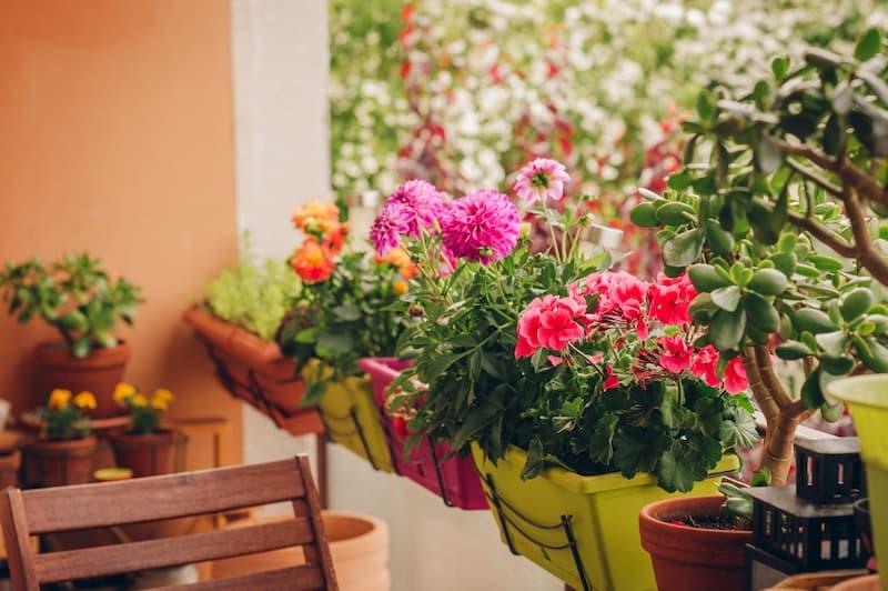 Vasi e fioriere da balcone