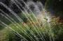 Dry garden richiede poche irrigazioni 
