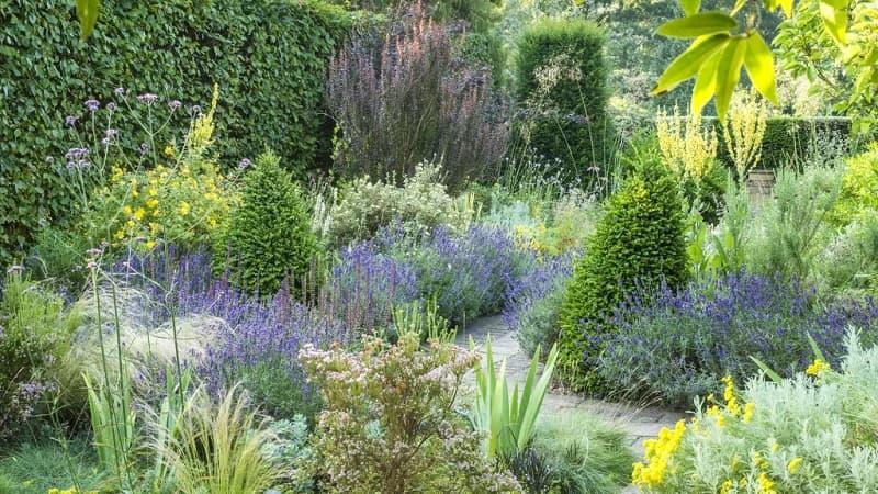 Idee per un dry garden, da Cambridge Botanic Garden