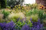 Un tocco di colore nel dry garden, foto di Claire Takacs, da gardensillustrated.com