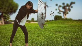 Allontanare le zanzare da casa: rimedi naturali e non solo