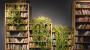 Libreria con piante - Foto: Unsplash