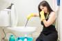 Come pulire il bagno: ostacoli per rimuovere lo sporco, come quello del water