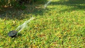 Tecniche per risparmiare acqua nell'irrigazione del giardino