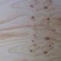 Multistro di pino mm.15 di Mazzucato Legnami srl