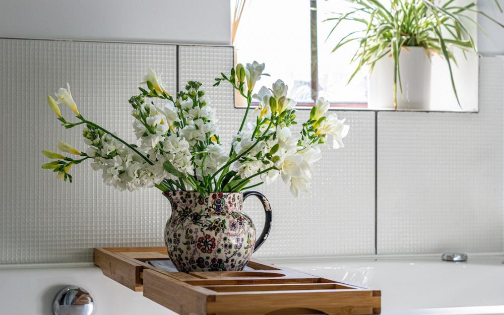 Decorare il bagno con piante e accessori - Foto: Unsplash