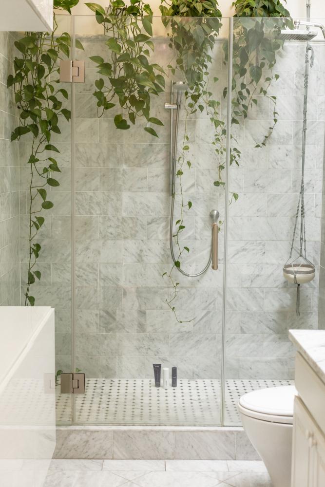 Decorazione box doccia con piante ricadenti - Foto: Unsplash