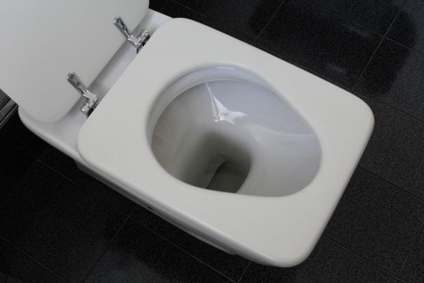 Toilet perfectly unclogged