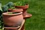 I vasi di terracotta sono molto porosi e si macchiano spesso - Foto Pixabay