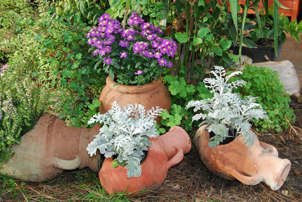 Mix floreale decorativo in vasi di terracotta - Foto Pixabay
