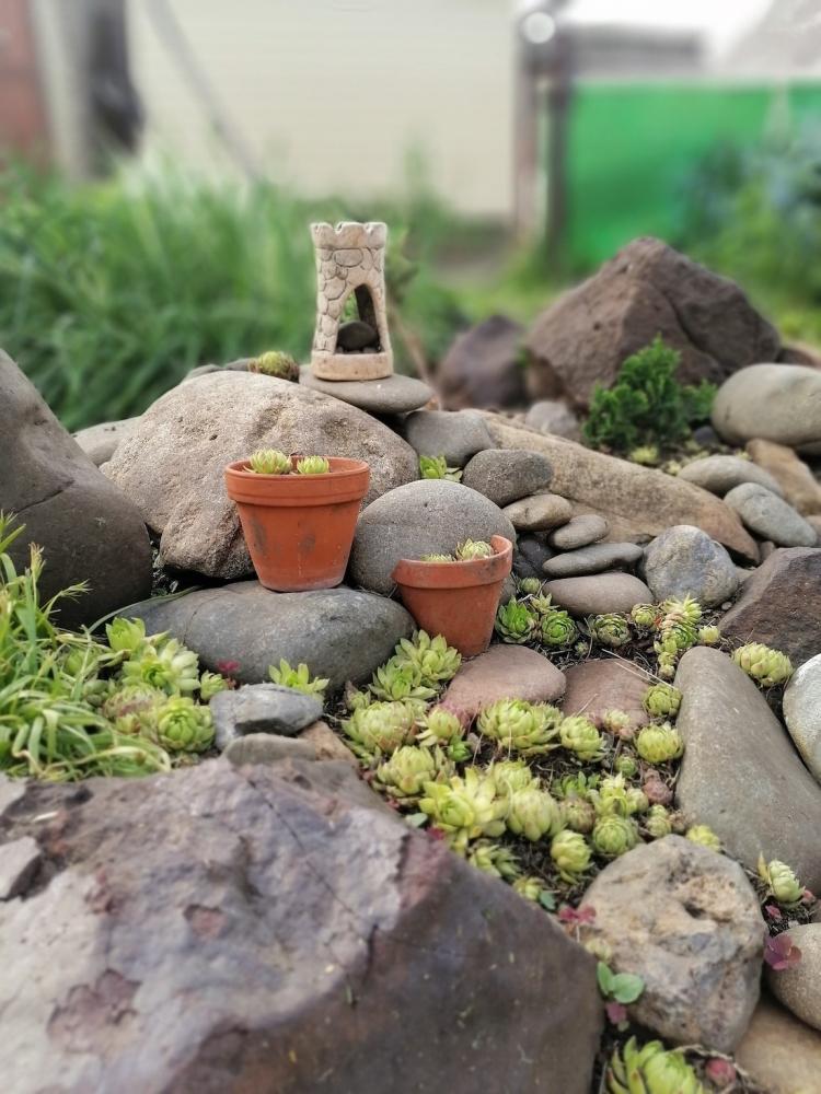 Giardino roccioso di piccole dimensioni - Foto: Pixabay