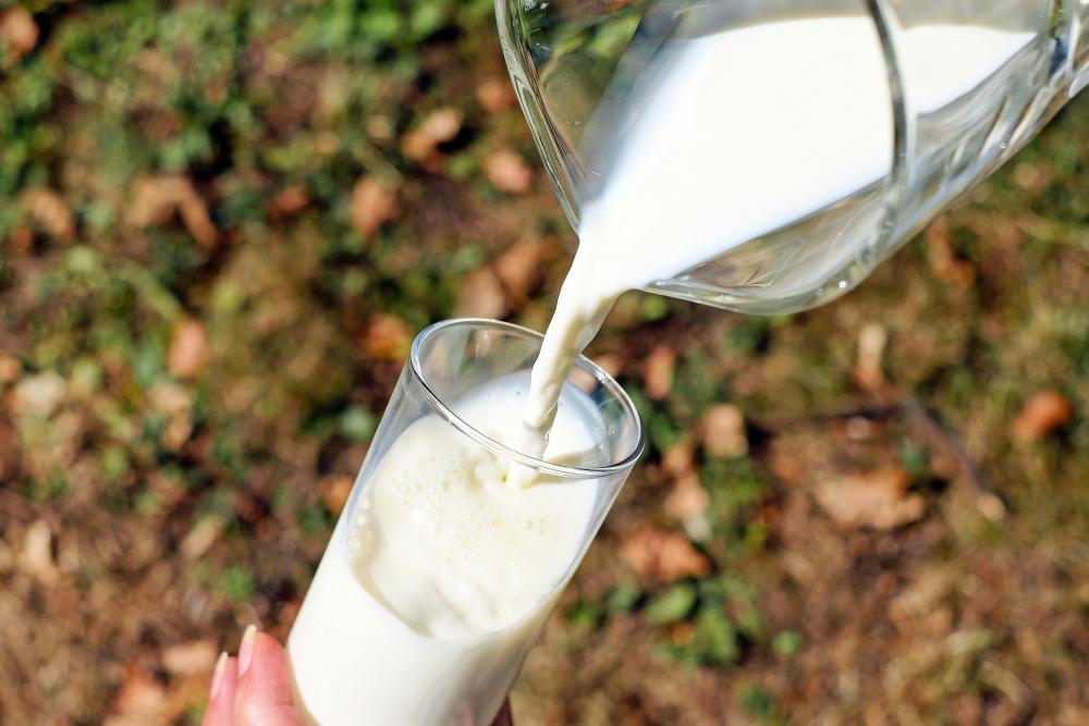 Il latte scaduto è un ottimo fertilizzante per piante - Foto Pixabay