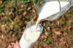 Il latte scaduto è un ottimo fertilizzante per piante - Foto Pixabay