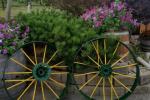 Delle vecchie ruote metalliche possono essere ridipinte per adornare il terrazzo o il giardino
