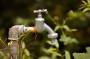 Acqua rubinetto non è indicata per annaffiare piante, foto di Alexas_Fotos, da Pixabay