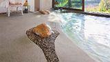Tanti modelli di piscine interrate moderne per il giardino di casa