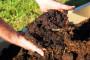 Compost con erba tagliata