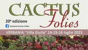 Piante succulente rare: al via la XX edizione di Cactus Folies