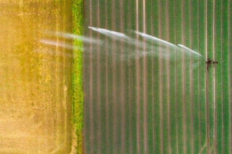 Un irrigatore dinamico dispone di una gittata d'irrigazione molto più estesa