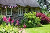Cottage garden con lavanda