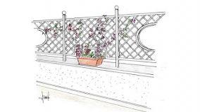 Creare privacy sul balcone con le piante frangivista