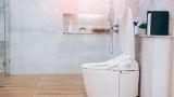 Washlet: come funziona il water giapponese