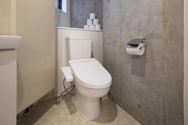 I più moderni washlet hanno moltissime funzioni