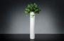 Vaso con pianta David Eye di VG New Trend