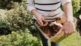 Cura del prato e giardino, i 10 migliori fertilizzanti naturali