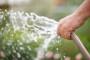 Orto a settembre: dare acqua con particolare attenzione al clima  