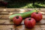 Pomodori e cetrioli da raccogliere a settembre