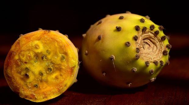 Il succulento frutto del fico d'India