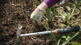 Come eliminare le piante infestanti a mano e con metodi naturali