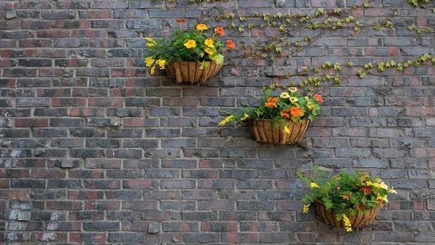 Come appendere vasi al muro o al soffitto: idee funzionali