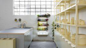 Idee su come realizzare un giardino verticale in cucina