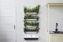 Giardino verticale in cucina, soluzioni tecnologiche Hedera