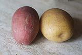 Due tipi differenti di patate