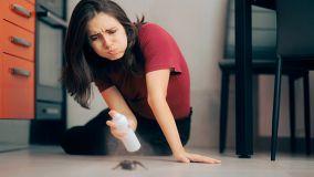 Come eliminare gli scarafaggi piccoli in casa