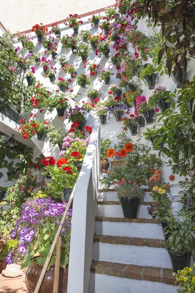 Piccolo giardino verticale sul terrazzo - Foto: Pixabay