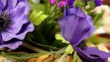 5 idee su come decorare casa con i fiori finti