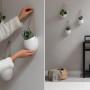 Decorare le pareti con le piante in vasi
