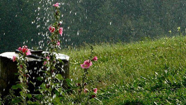 Metodi per proteggere il giardino da pioggia, vento e grandine