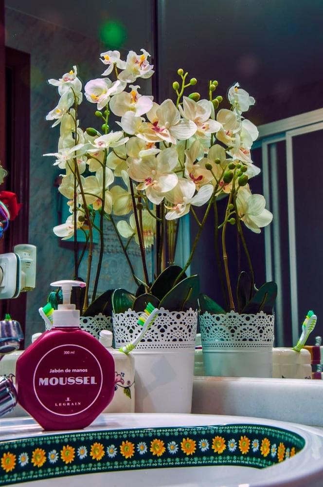 Orchidea in bagno, foto di Juan Roman da Pixabay