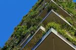 Facciata verde edificio residenziale - Foto: Unsplash