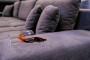 Macchie di vino rosso sul divano - foto Getty Images